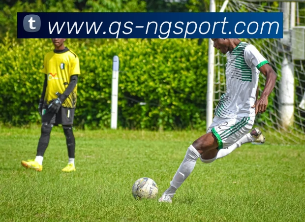 南宫体育平台生态图